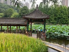 -龙头寺公园