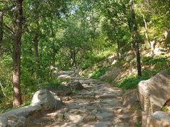 -阳台山自然风景区