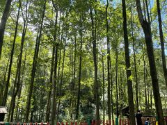 -贵州森林野生动物园
