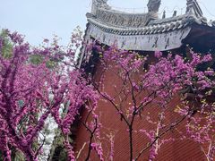 -洛阳白马寺