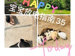 -前小桔亲子创意农场·草莓采摘·露营烧烤