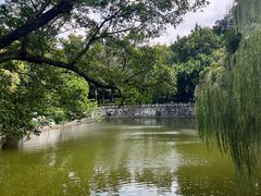 -柳侯公园
