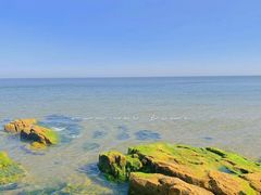 -悦海公园