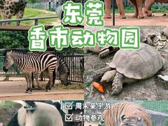 -东莞香市动物园