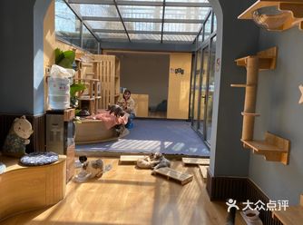 偶然发现，市委大院里面，有一家猫咖，装修是原木风格