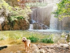 -湖洞水自然风景区