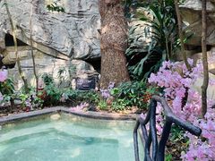 -海口观澜湖火山温泉谷