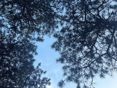 -北京西山国家森林公园