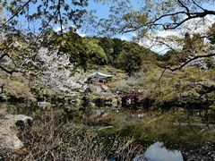 -醍醐寺