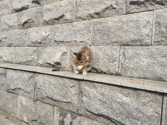 -宝通禅寺