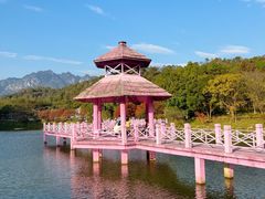 -田野绿世界