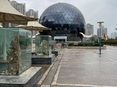 -陕西自然博物馆