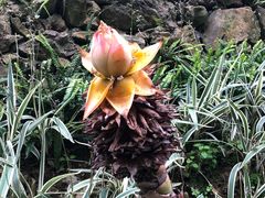 -古龙峡云天玻霸