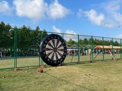 -春花秋色城市公园