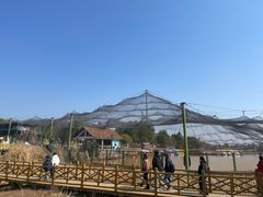 -鄱阳湖国家湿地公园