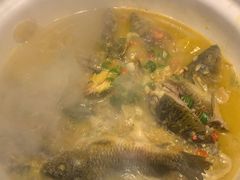 -后湖小院·乡野田园菜