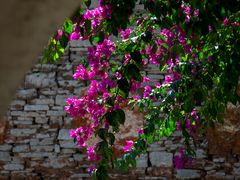 -高荡千年布依古寨旅游景区