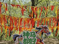 -少华山国家森林公园