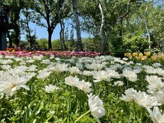 -北京植物园南门售票处