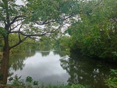 -嘉北郊野公园