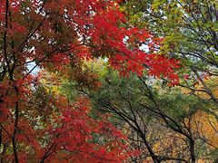 -本溪老边沟风景区