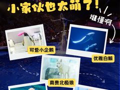 -大连圣亚海洋世界