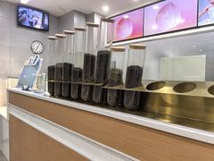 -雾与山茶(大禹城店)