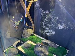 -湖南省地质博物馆