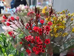 -美廉美超市(圣熙8号购物中心店)