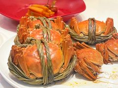 -明仕田园酒店