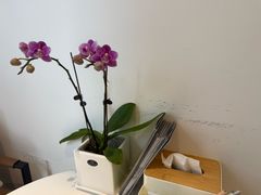 -桥恩心理咨询国际连锁(南山总店)