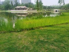 -西海子公园