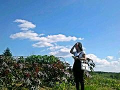 -北纬44度·金珠花海休闲农业旅游景区