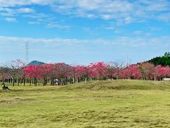 -风云岭森林公园
