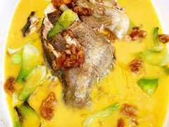 老烧大桂鱼-常州花鸟园酒店(西太湖品牌优选店)