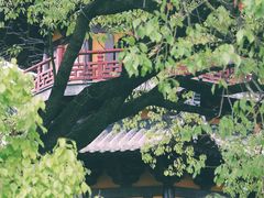 -龙华寺