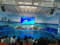 -多彩贵州城极地海洋世界