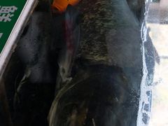 -全乐鱼馆·淳牌有机鱼直营店