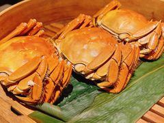 成隆行精选大闸蟹-成隆行·蟹王府(九江路店)