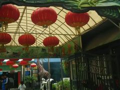 -上海大自然野生昆虫馆