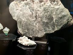 -正佳自然科学博物馆