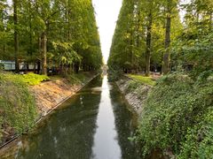 -东平国家森林公园