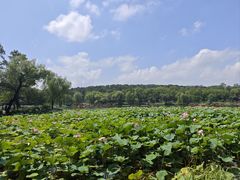 -承德避暑山庄景区