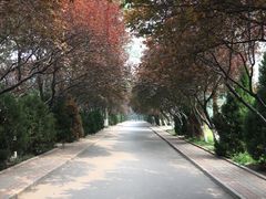 -山东师范大学(千佛山校区)