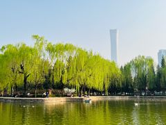 -团结湖公园