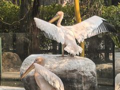 -灵玲国际马戏城