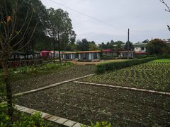 -洪湖家庭农场·团建·露营·会议