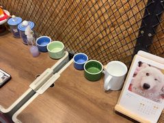 -和它·交个朋友·狗咖猫咖(爱琴海店)