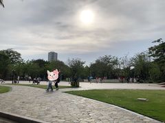 -金砂公园