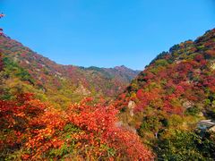 -秦岭终南山世界地质公园翠华山景区